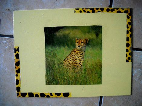 Cheetah Pic